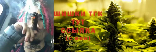 гашик Слюдянка
