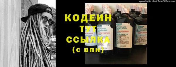 молекула духа Снежногорск