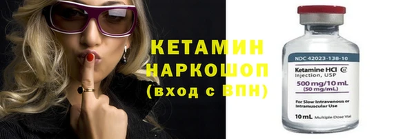 молекула духа Снежногорск
