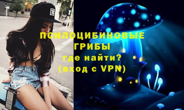 дурь Белоозёрский
