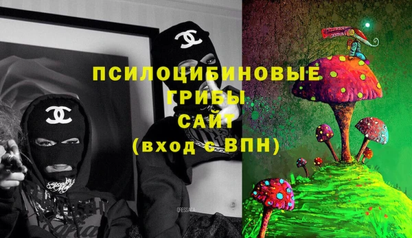 не бодяженный Белокуриха
