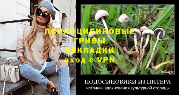 дурь Белоозёрский