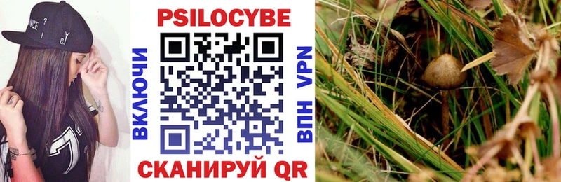 Галлюциногенные грибы ЛСД omg как войти Вятские Поляны