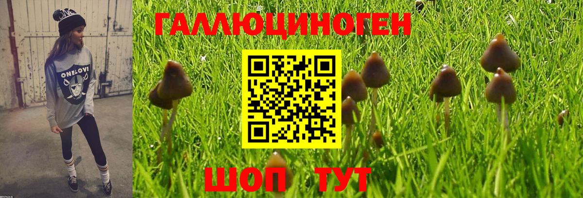 Псилоцибиновые грибы мицелий  Вятские Поляны  Галлюциногенные грибы прущие грибы 