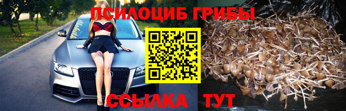 Галлюциногенные грибы ЛСД Вятские Поляны